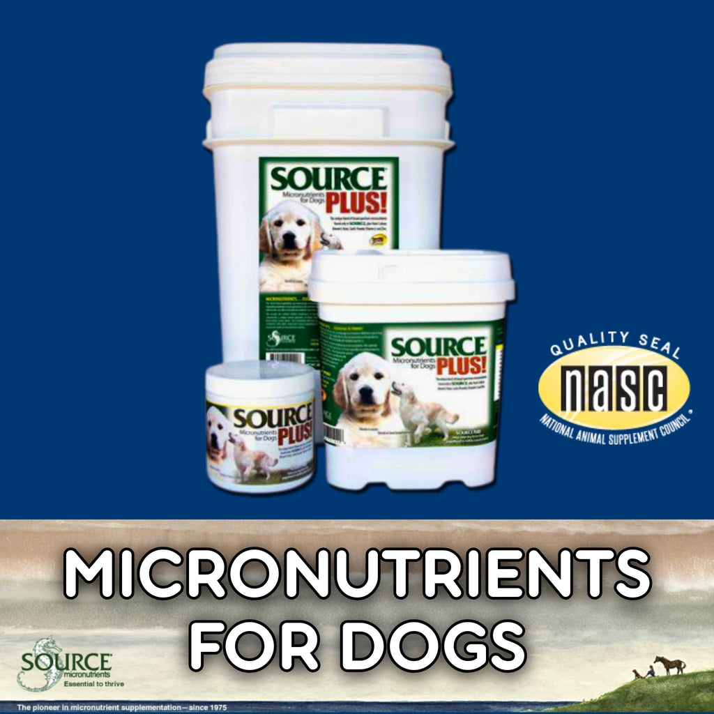 SOURCE Plus for Dogs Seaweed-Based Micronutrients for Skin, Coat & Digestion