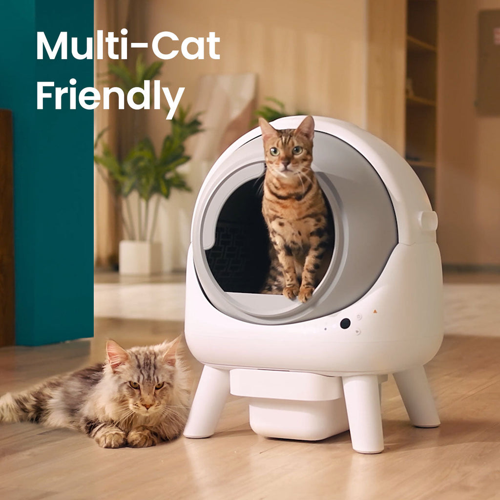 [Elspet Day Sale] Els Pet Orbitie Self Cleaning Litter Box Love Lasts Long Bundle