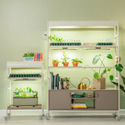 2 Tier Grow Light Garden