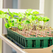 2 Tier Grow Light Garden