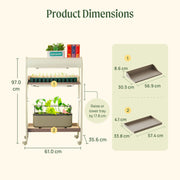 2 Tier Grow Light Garden