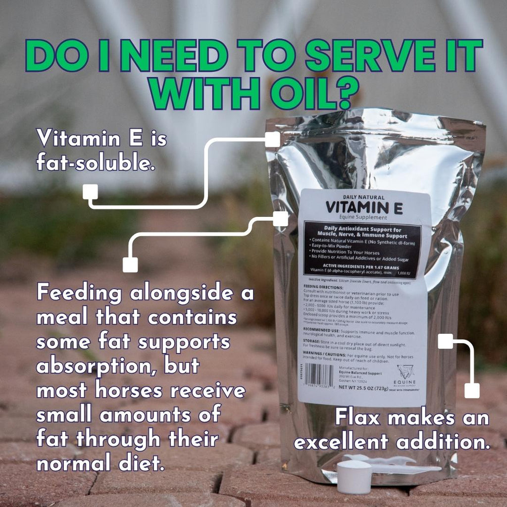 Daily Natural Vitamin E - High Bioavailability Antioxidant Support