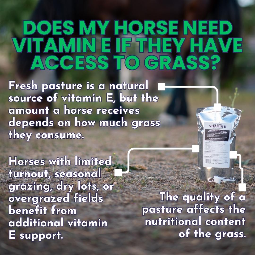 Daily Natural Vitamin E - High Bioavailability Antioxidant Support