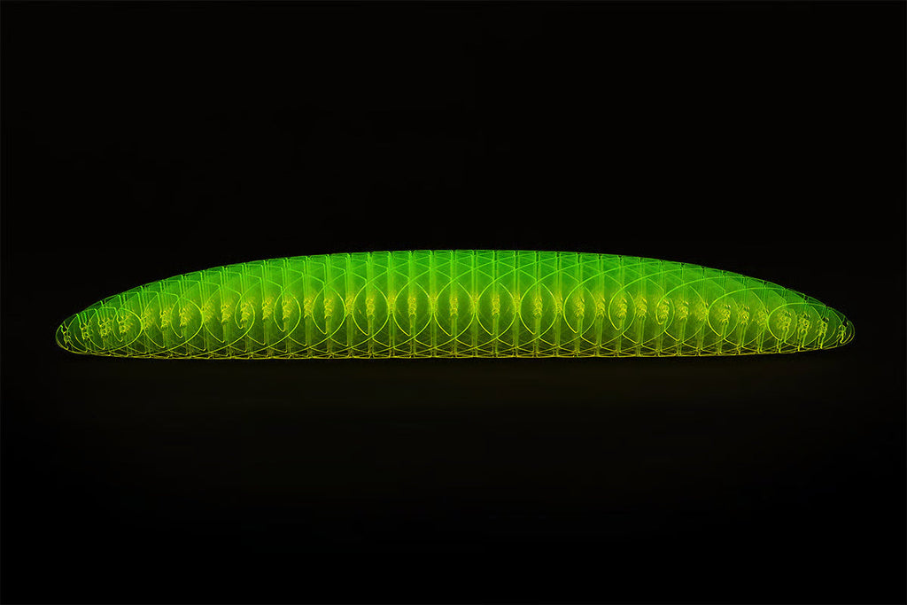 🔥Worm Big Fidget Toy